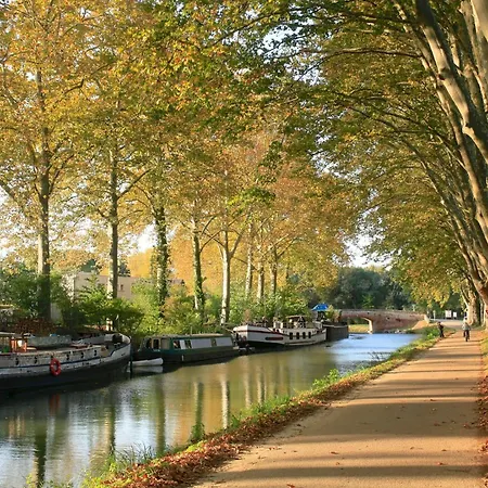 Confortable Dans Un Lumineux * Tuluza