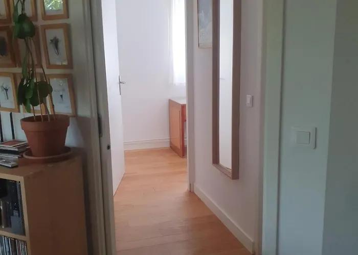 Confortable Dans Un Lumineux ホームステイ