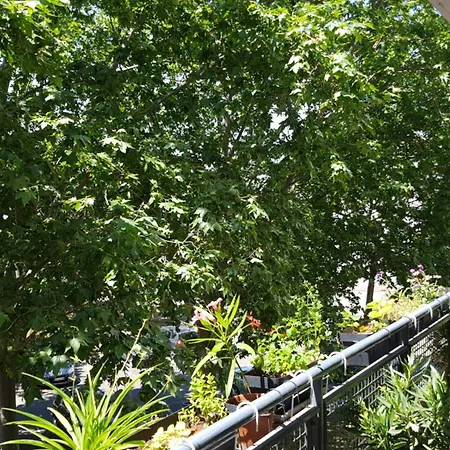 Confortable Dans Un Lumineux Habitación en casa particular